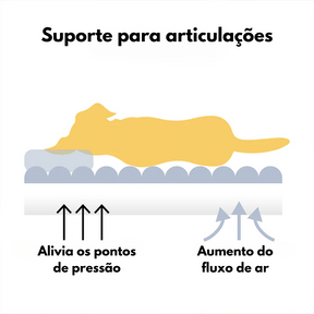 Cama Sofá Pet Ortopédico - O seu pet merece o melhor + Escadinha de Brinde